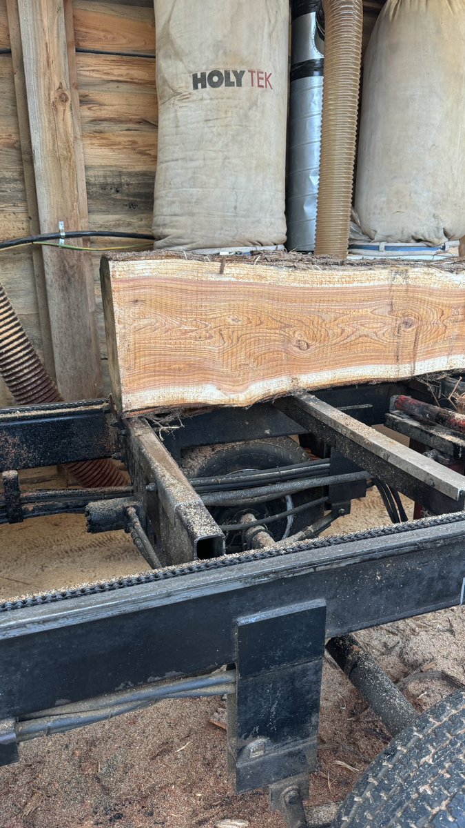 TheLTCltd's tweet photo. After a short hiatus, the #TimberKing is back! Cutting lots of gorgeous Cedar to be used for shingles, cladding, you name it! https://t.co/QQZQsI0qOn