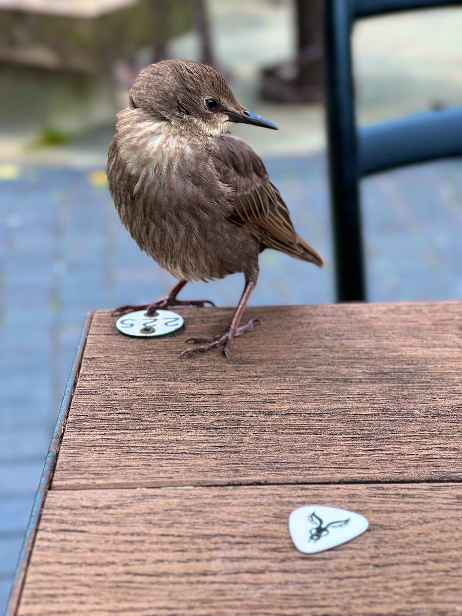 VToda's tweet image. Did the Bungle Grind!

@MrBungle
@Scott_Ian
@CamdenTownLDN