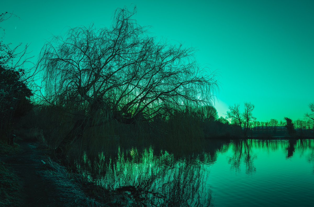 zosphotos's tweet photo. Otherworldly mornings https://t.co/3qVipSbEL0