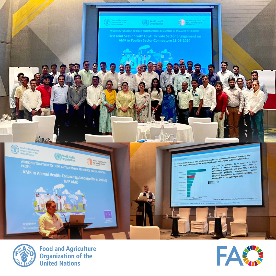 FAOIndia's tweet photo. .@FAOAsiaPacific, @FAOIndia, @fssaiindia, and #NFLChennai host the first #PrivateSector engagement in Coimbatore to combat antimicrobial resistance (AMR) in the poultry sector.
#AMR #AnimalHealth #OneHealth #4Betters https://t.co/Mc7wusWrit