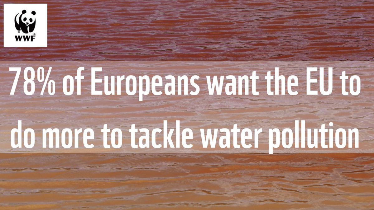 WWFEU's tweet photo. 💦Healthy freshwater ecosystems are fundamental to life, our economy, society &amp; wellbeing.

We urge Water Directors to urgently update pollutant lists, ➕chemical mixtures, &amp; to NOT add exemptions to the EU Water Framework Directive.

Read our joint 📨
https://t.co/sapF8hGeZ2 https://t.co/Rfi83gainP