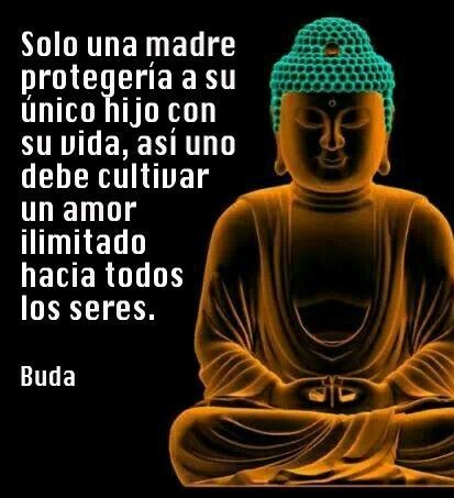 conemocioness's tweet photo. Buenos días. https://t.co/ibdwKvTLcT