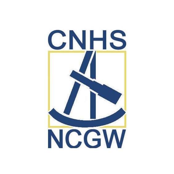 I am very happy and honoured to announce that I have been elected a member of the National Centre for History of Science (CNHS/NCGW)! I look forward to many interesting collaborations to come. 

Check out their website: astrolabium.be