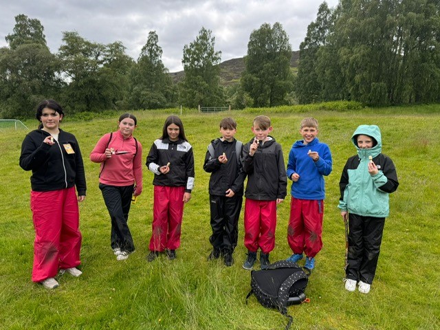 Alltnacriche Pictures