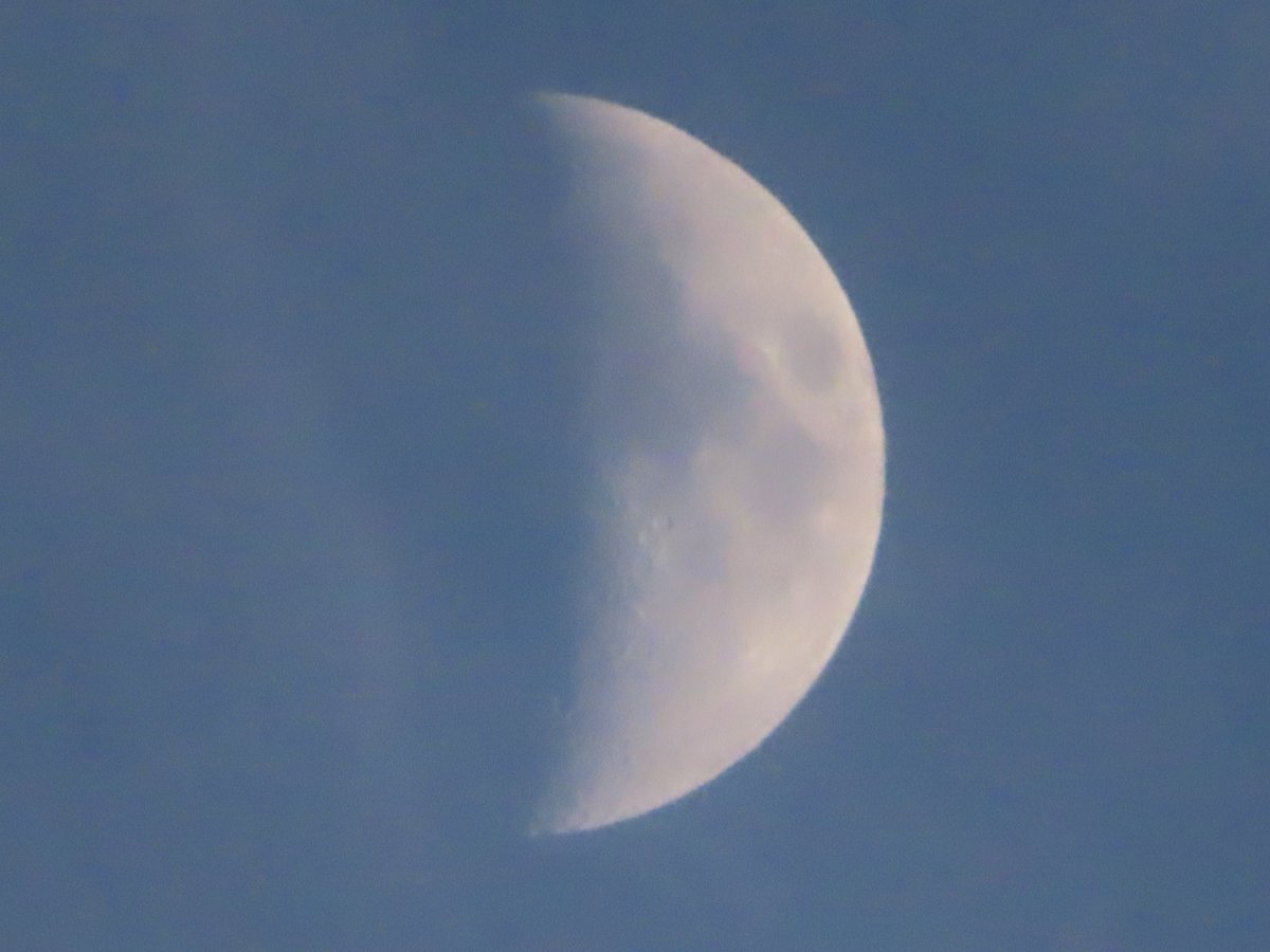 ttomu2's tweet photo. 南の高い空 #月 #MOON https://t.co/fQCvyDR97k
