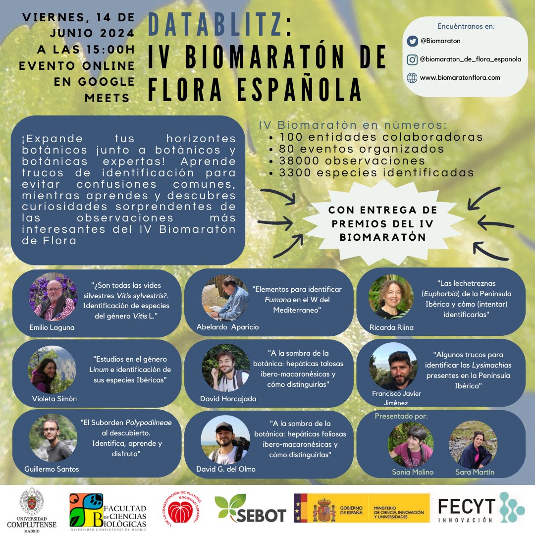 biomaraton's tweet photo. Ya tenéis plan de tarde para mañana???? Nostr@s sí y vostr@s también podéis tenerlo en un click🤪 
Os recordamos que el Datablitz 2024 es mañana!!
🗓️viernes 14 de junio
⏰15h 
Con consejos de identificación, anécdotas, entrega de premios y mucho más 🤟 https://t.co/VKOvBt4H2G