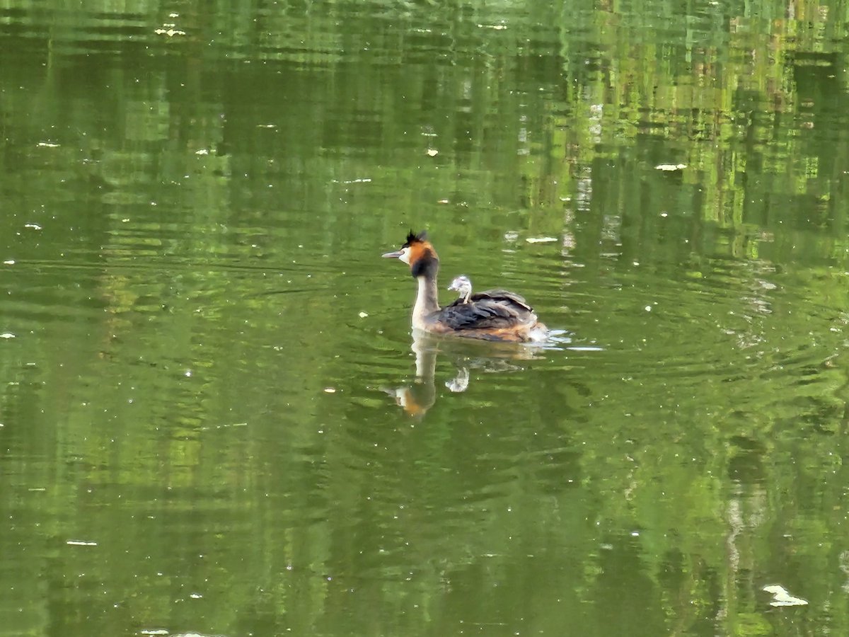 Tushar Banerjee tweet media