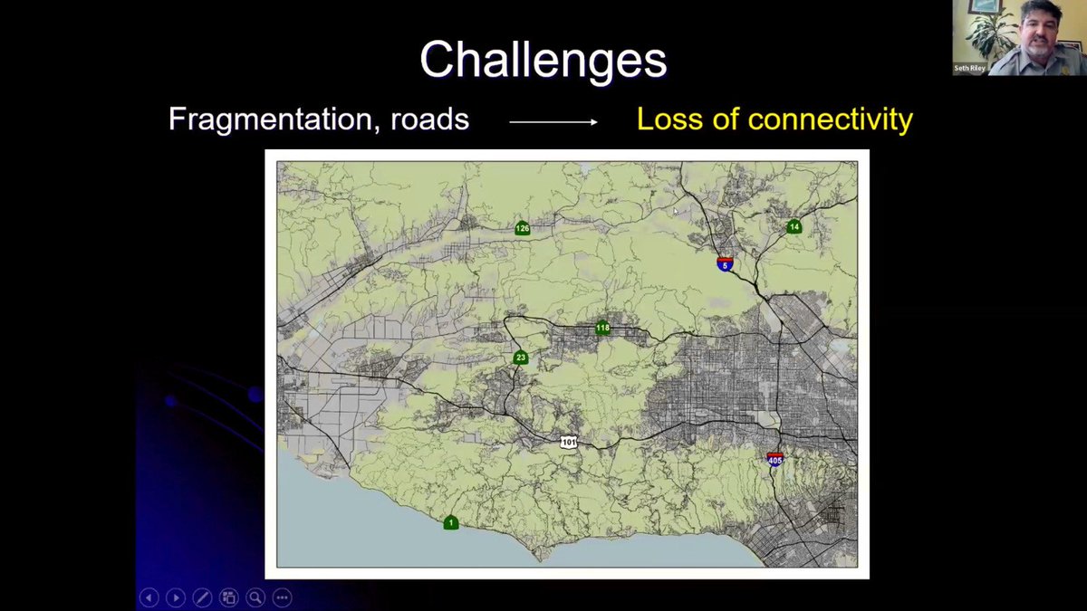 1/2

In the webinar organized by IBCA to celebrate #CougarDay on 12th June, Dr. Seth Riley highlighted the need of wildlife crossings on linear infrastructure like highways.

This allows easy movement of wildlife including Cougars &amp; promotes genetic diversity &amp; healthy ecosystem.