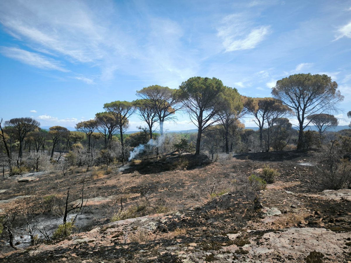 SNPN_nature's tweet photo. 🌳🔥 Depuis le début de l’incendie à Vidauban, les équipes de la SNPN sont mobilisées au poste de crise incendie et sur le terrain ! Le feu est désormais fixé et ne progresse plus.

✊ Nous restons mobilisés !

#vidauban #cenpaca #soptomcrcc #feudeforet #incendie https://t.co/Iq50xKSDMw