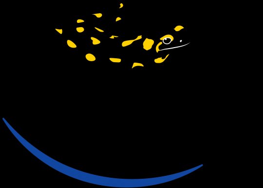 Tagung "Artenhilfsprogramm 'Feuersalamander in Bayern'", gemeinsames Projekt von BUND Naturschutz, Landesverband Amphibien- &amp; Reptilienschutz und Naturschutzverband LBV, gefördert durch Bayer. Umweltministerium. Danke für Engagement aller Beteiligten. lbv.de/naturschutz/ar…