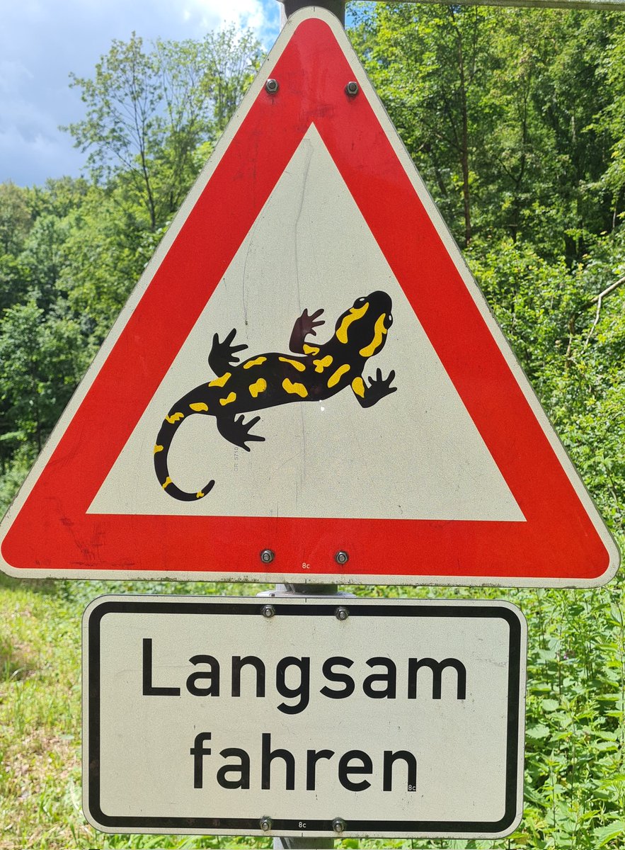 Norbert Schäffer tweet media