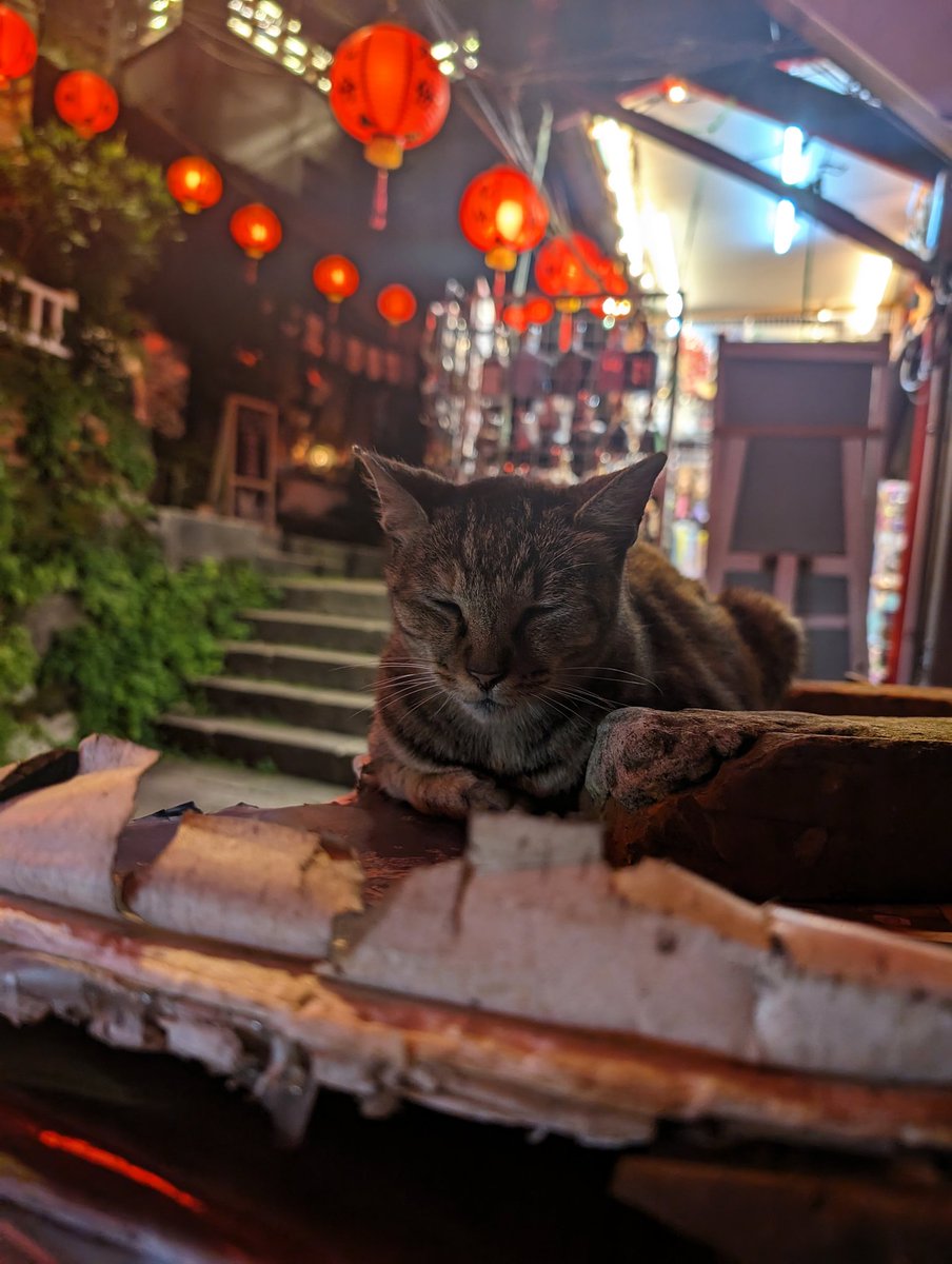 PeachTora's tweet photo. I loved being able to travel to Taiwan 🏮❤️ I meet some of the most kind and open people here. https://t.co/lm6MQsB64Y