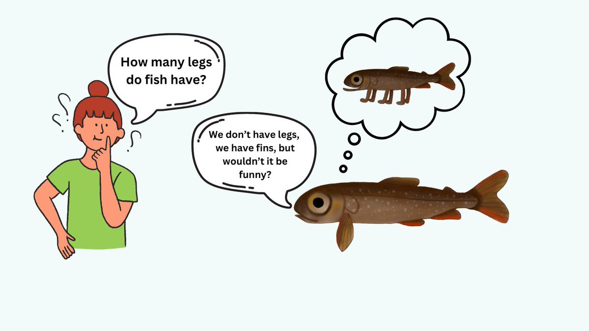 IceFish Research tweet media