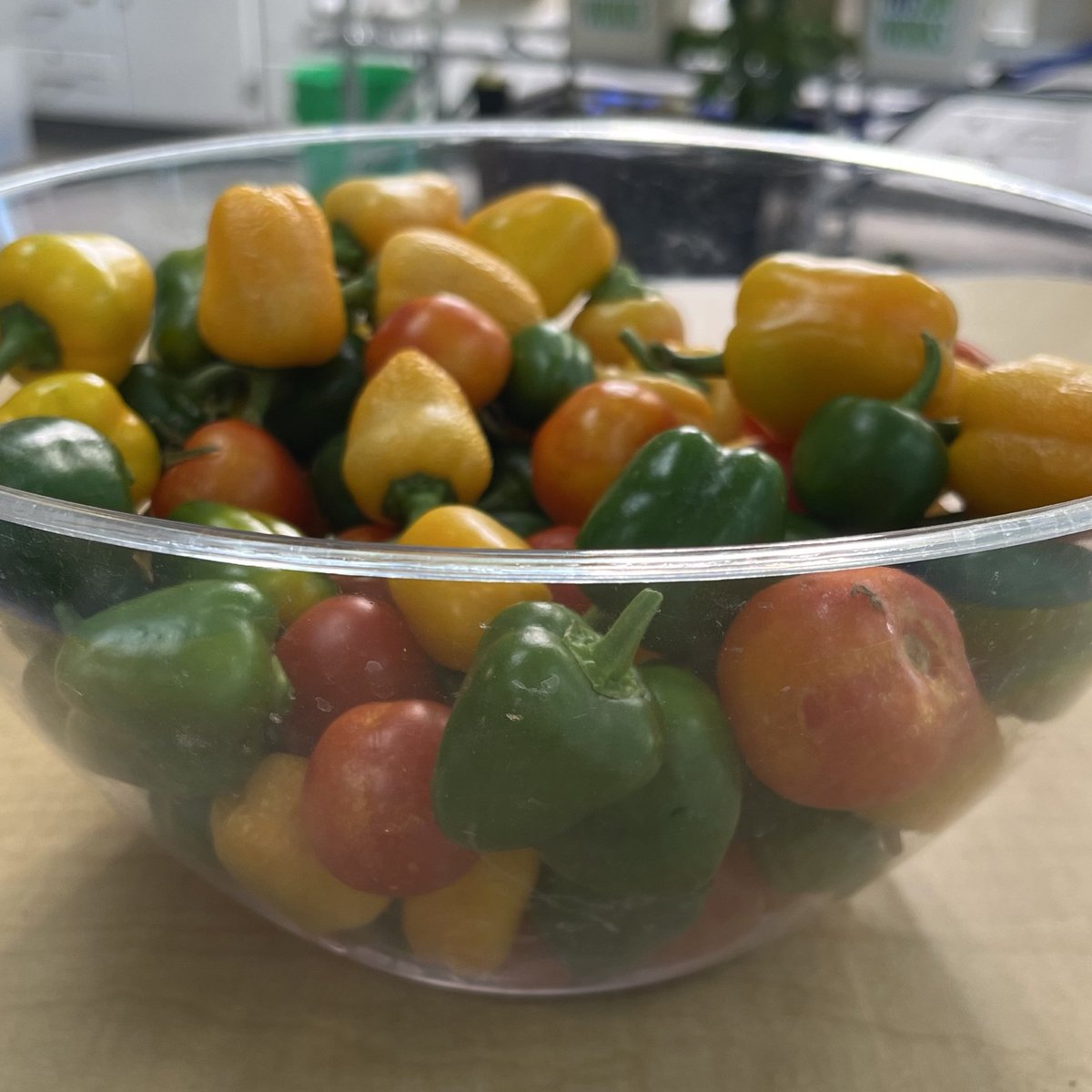 Debbie Alspach tweet media