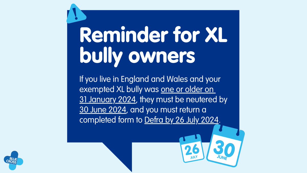The neutering deadline for exempted XL bullies who were one or older on 31st January 2024 is fast approaching. ⚠️

You only have a few weeks left, so we strongly advise you not to delay, as it could pose a significant risk.

For more support 👉 bit.ly/3PH5oXH