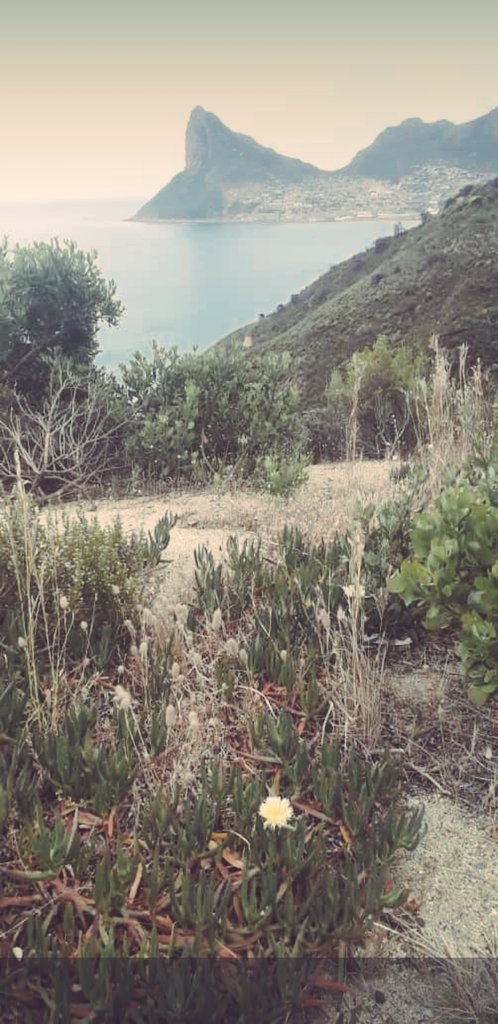 Ivor1B's tweet photo. Good morning. #ivorb #ivorbphoto #ivorbphotograph #ivorbphotography #goodmorning #GoodmorningVibezX #GoodMorningX #goodmorningall #goodmorningpost #travel #travelphoto #photo #Photography #southafrica #westerncape #CapeTown #tourist #tourism #wanderlust #sentinelmountain #houtbay https://t.co/i6XmbFg2FT