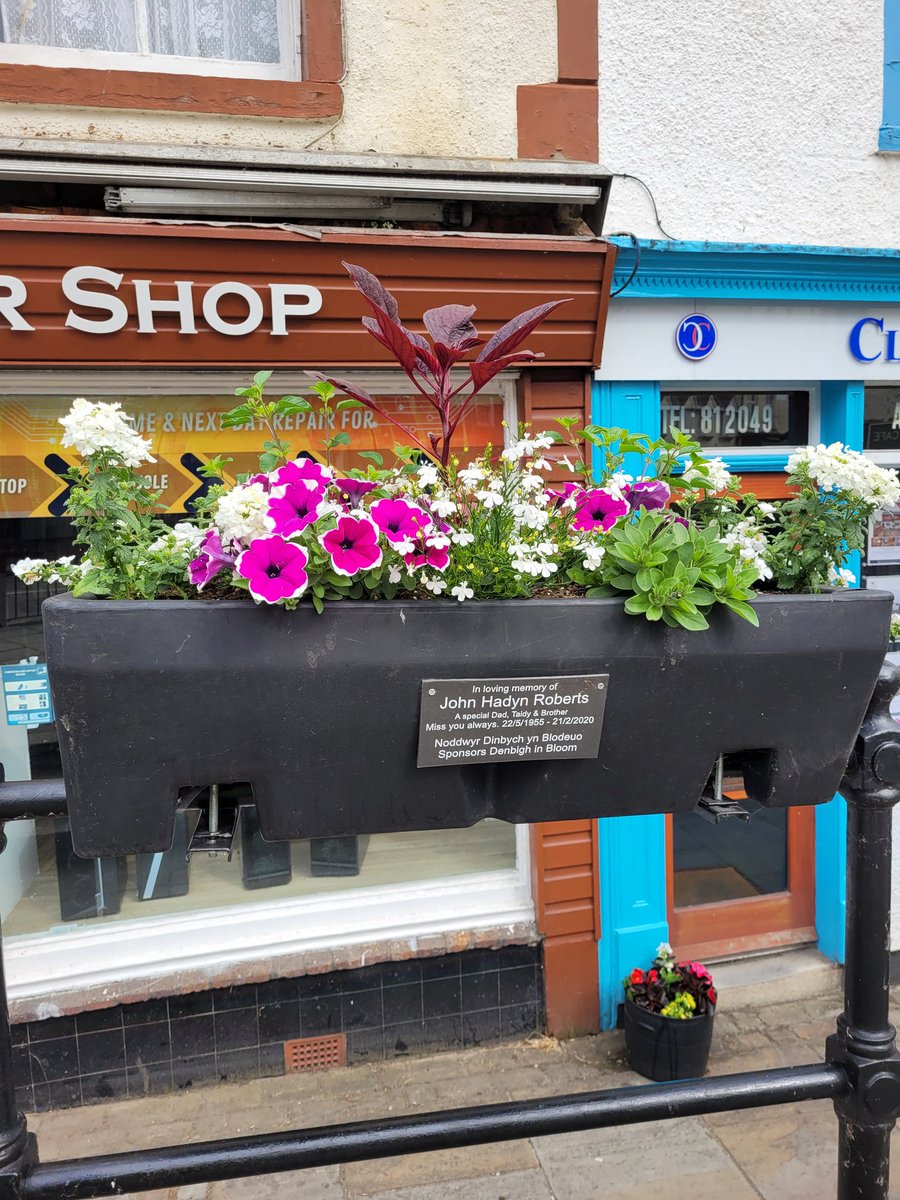 Denbighinbloom's tweet photo. More wonderful #sponsors for this year's floral displays #Denbigh #Dinbych #ourbloom @amberolUK https://t.co/LOTTJWVkZl