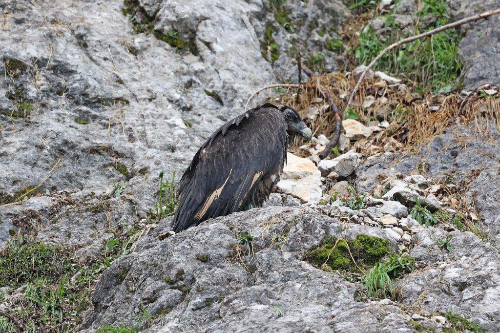 Petra Neubauer tweet media