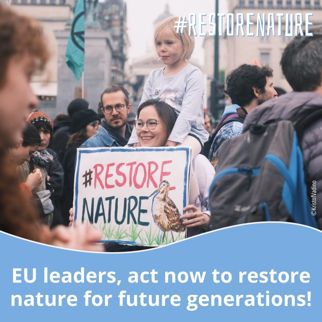People's wellbeing and nature are at stake if we keep delaying the adoption of the nature law that benefits ecosystems, farmers and fishermen

On Monday 17th, all eyes are on you <a href="/EUCouncil/">EU Council</a> #RestoreNature