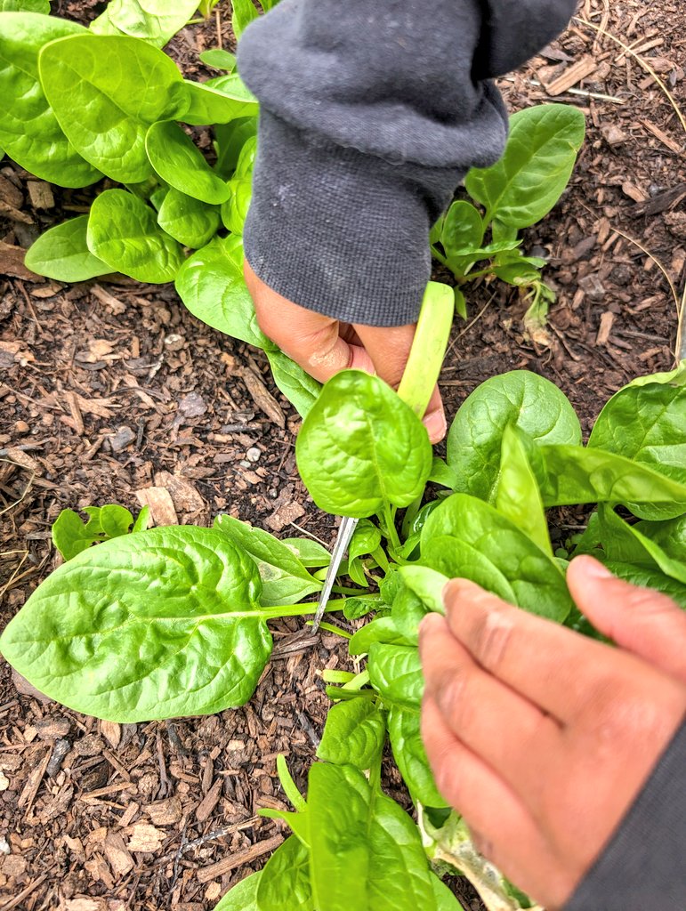 Claudia Araujo tweet media