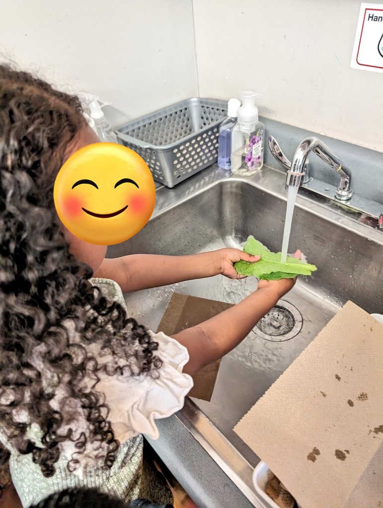 Claudia Araujo tweet media