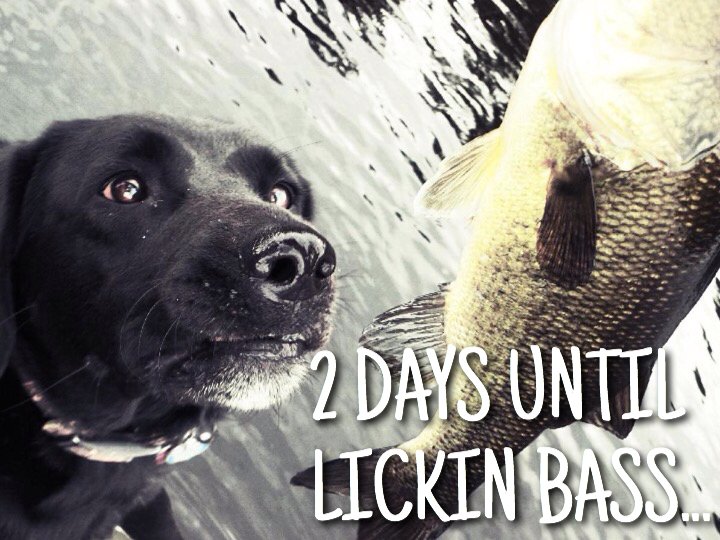 CANUCK BASSIN tweet media