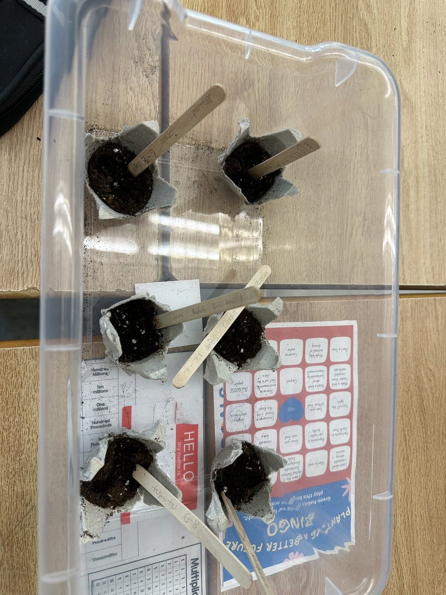 K.Sullivan tweet media