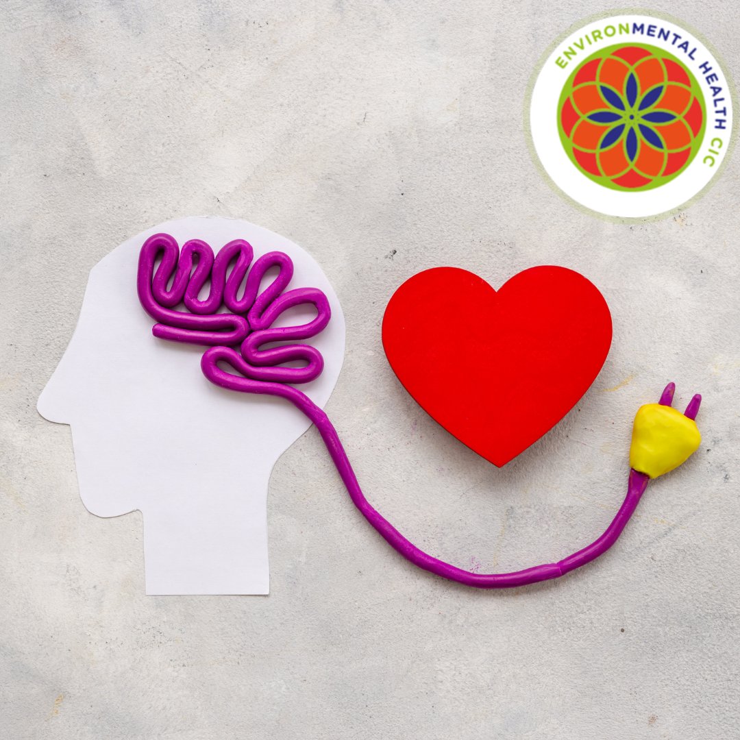 📊 Did You Know? 📊

1 in 4 people experience mental health issues each year. Be the difference-maker by becoming a Mental Health First Aider. Equip yourself with skills to support those in need.

Sign up today! Email admin@environmentalhealthcic.org for details.