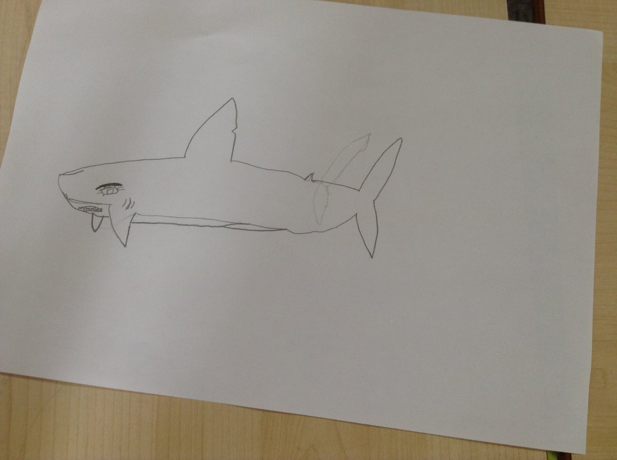 ManorParkFirst's tweet photo. Year 1 have been busy this week describing sea creatures with the shark being a firm favourite. So, in drawing club we learnt how to draw a shark.
I'm sure you agree they all did an amazing job. 🦈
#manorparksuperstars https://t.co/hGIykRxsf2
