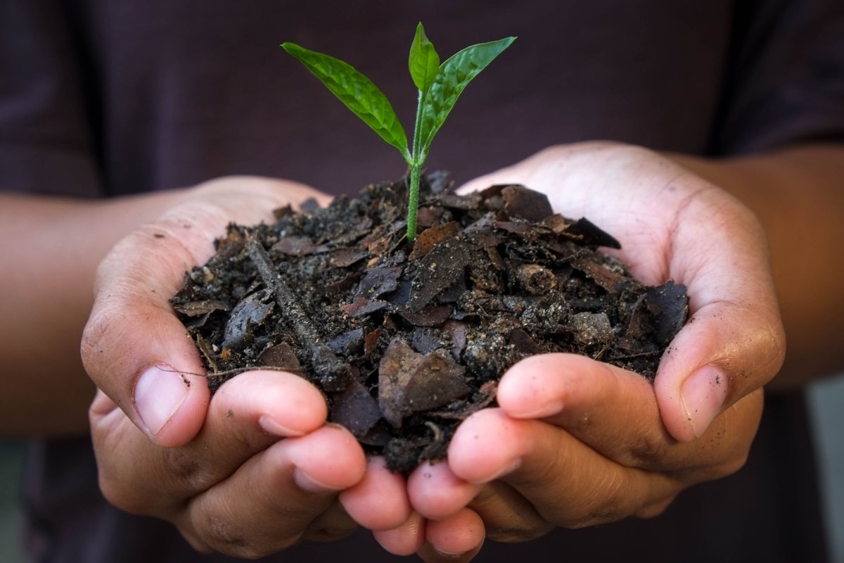 carboncheckdoe's tweet photo. Biochar: Unlocking Soil Health and Climate Solutions 

What Is Biochar? 

#Biochar is a high-carbon, fine-grained residue produced via pyrolysis. Read more....https://t.co/Y9TJ16506M https://t.co/qSOXDaarJR