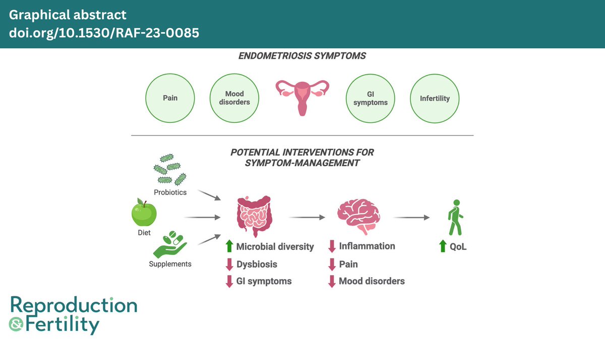 Reproduction and Fertility (@repro_fertility) on Twitter photo This recently published article discusses how dietary adaptations could be impacting endometriosis-associated symptoms via changes to the bacteria within the gut🦠.
👀Read it here: doi.org/10.1530/RAF-23…
<a href="/TheEndoPhD/">Francesca H-Y</a> <a href="/horne_research/">Andrew Horne</a> <a href="/p_saunder/">Philippa Saunders</a> <a href="/somahony1/">Dr Siobhain M. O'Mahony</a> This recently published article discusses how dietary adaptations could be impacting endometriosis-associated symptoms via changes to the bacteria within the gut🦠.
👀Read it here: doi.org/10.1530/RAF-23…
<a href="/TheEndoPhD/">Francesca H-Y</a> <a href="/horne_research/">Andrew Horne</a> <a href="/p_saunder/">Philippa Saunders</a> <a href="/somahony1/">Dr Siobhain M. O'Mahony</a>