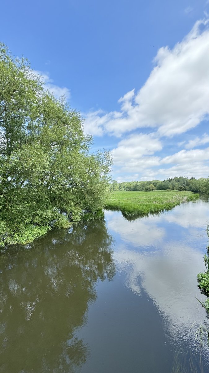 Stop the Wensum Link 🍃💚🍃 tweet media