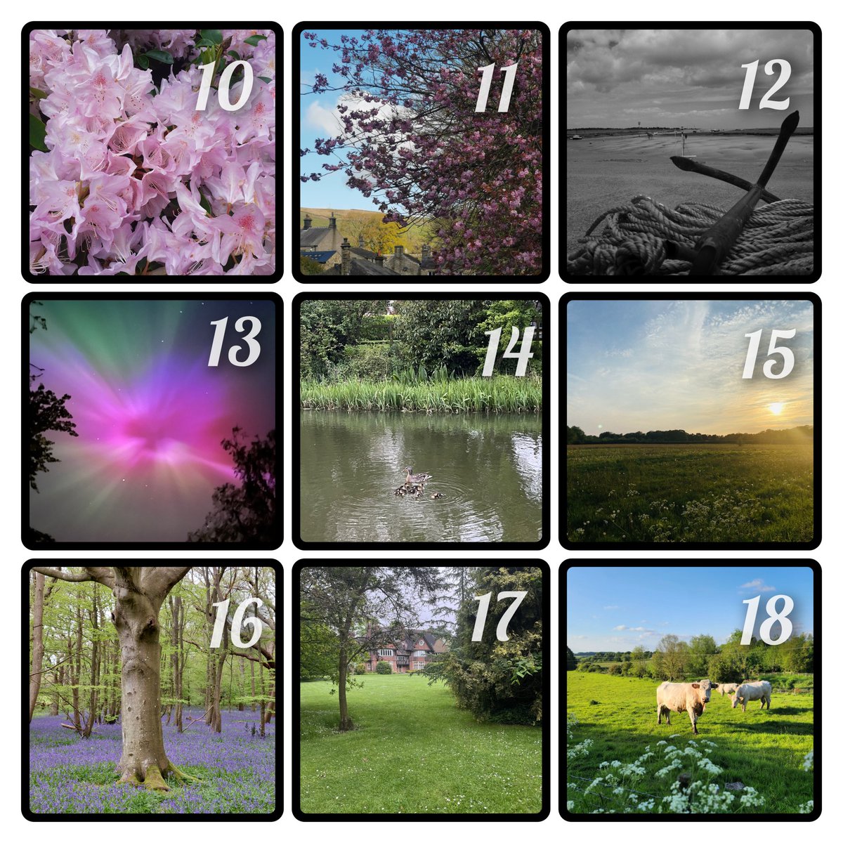 Uni of Leicester Cardiovascular Sciences tweet media