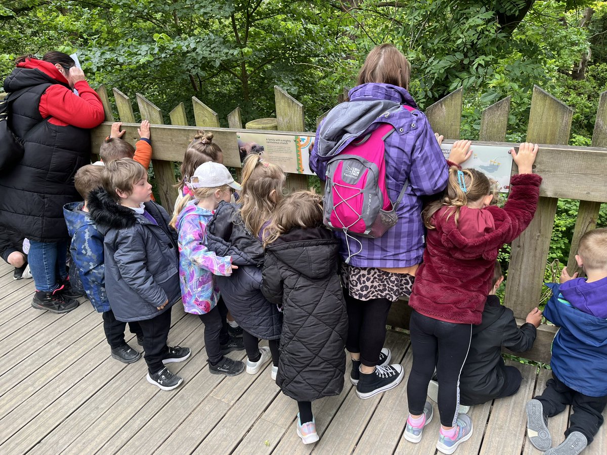 We’re going on a bear hunt 🐻