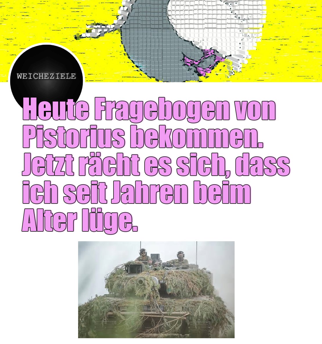 weicheziele's tweet image. #wehrpflicht #fragebogen #pistorius