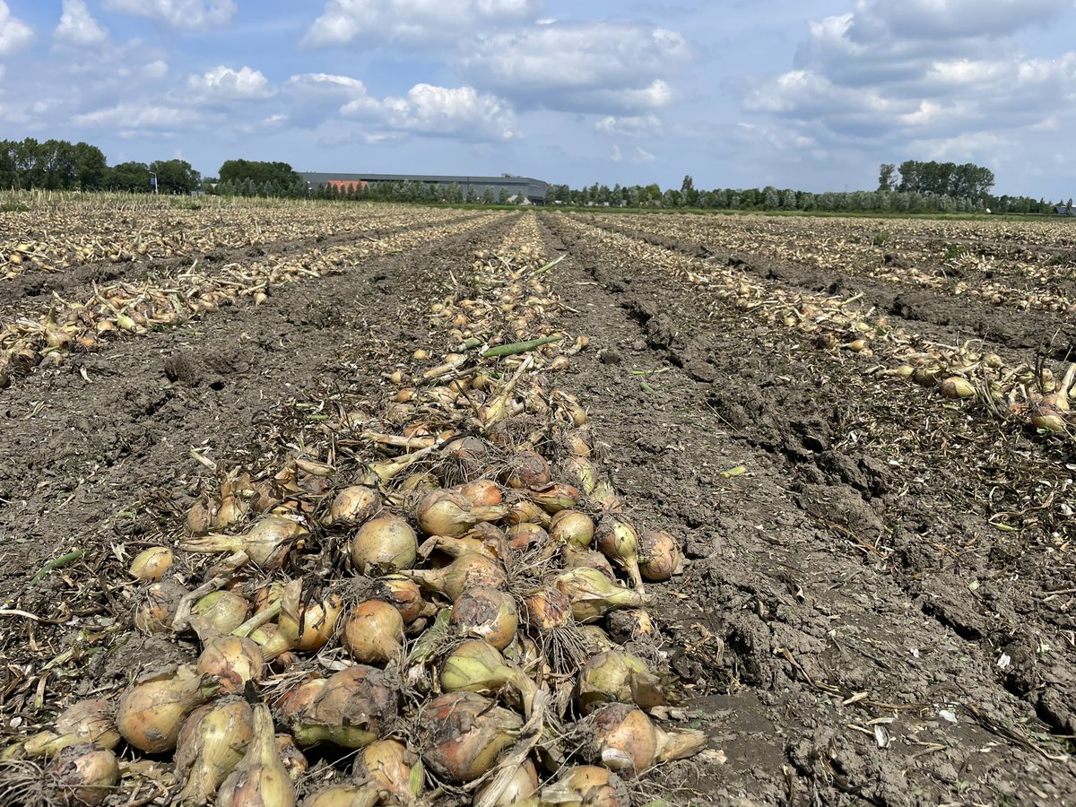 Lennart Moerdijk tweet media