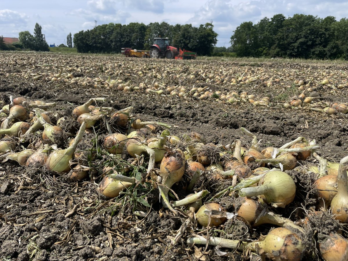 Lennart Moerdijk tweet media