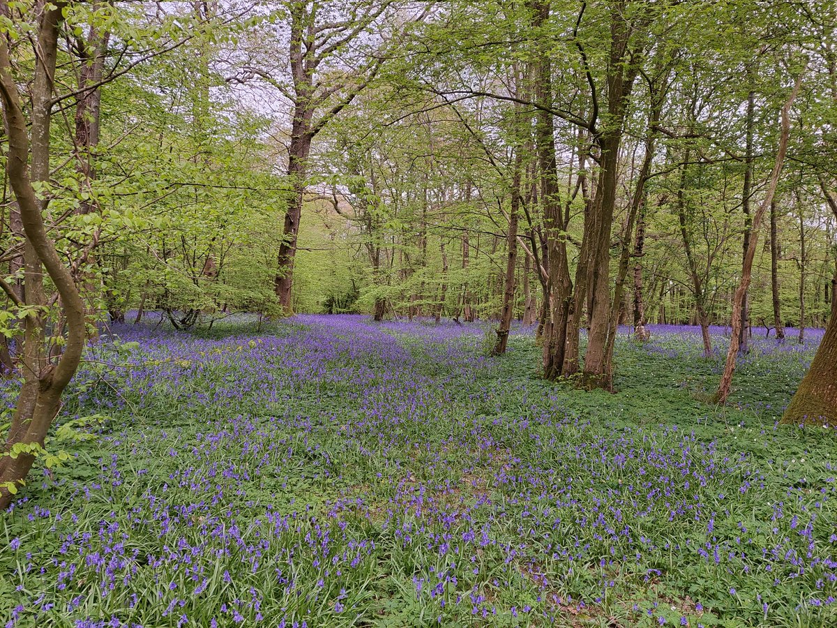 Uni of Leicester Cardiovascular Sciences tweet media