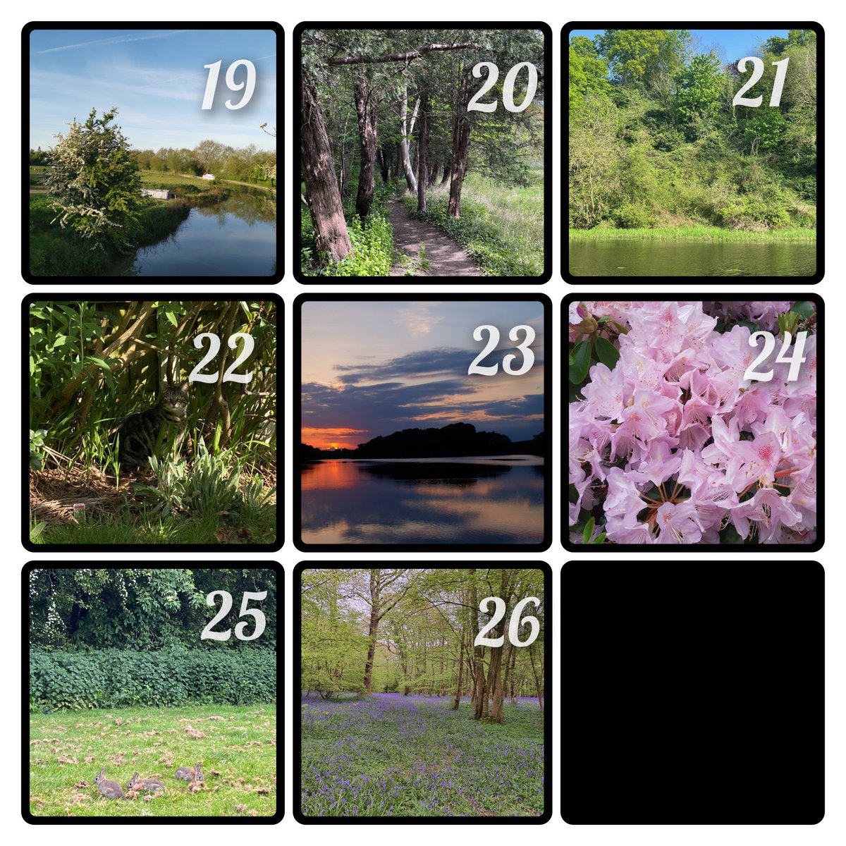 Uni of Leicester Cardiovascular Sciences tweet media