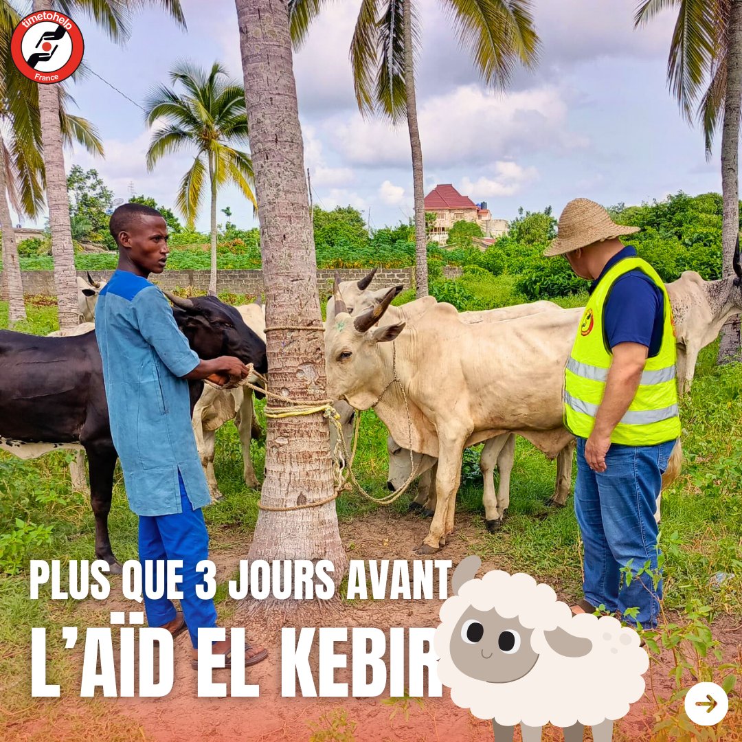 timetohelpfr's tweet photo. 🌟 Dernière chance de faire briller l'Aïd el Kebir ! Nos partenaires sélectionnent déjà le meilleur bétail au Togo, Bénin et RCA. 🐑💫

👉 120€ nourrit 6 familles. Votre don compte énormément. Agissez vite ! 

#AidElKebir #Generosity #MakeADifference https://t.co/fmqkbo7Aue