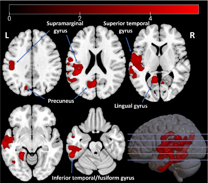 ScienceofPD tweet picture
