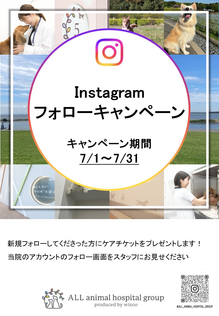ALL_AH_group's tweet photo. 平素はALL動物病院行徳をご愛顧いただき、誠にありがとうございます。
���の度、Instagramのフォローキャンペーンを行います！
詳しくは当院の公式アカウントをご覧ください。
https://t.co/UWwPabIbpi https://t.co/1vO1Eunras