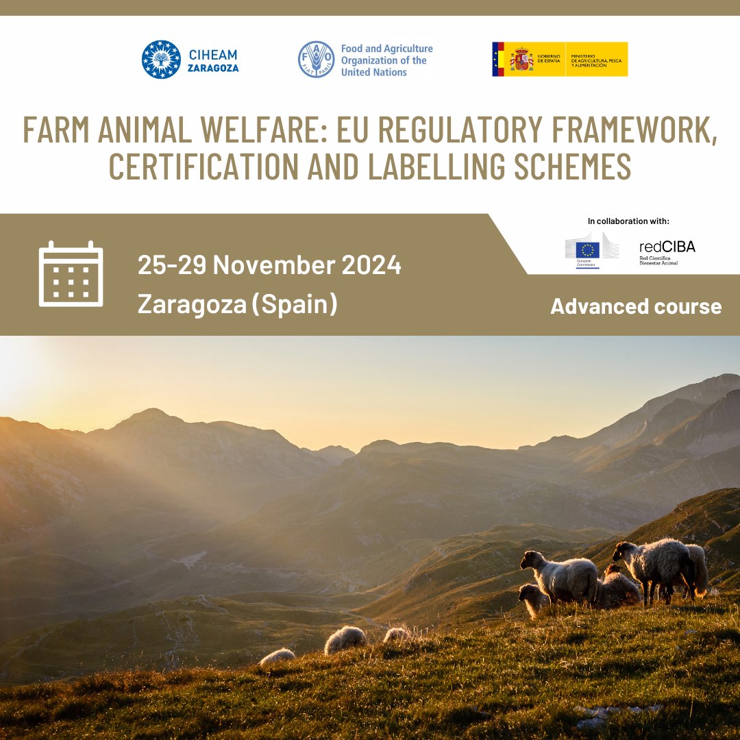 CIHEAMZaragoza's tweet photo. Awareness of #animalwelfare legislative measures, certification and labelling schemes is crucial for #livestock professionals 🐔🐄🐷🐑
👇NEW #advancedcourse by #CIHEAMZaragoza @FAO & @mapagob in collaboration with @EU_Commission & @RedCiba
JOIN US!🔗https://t.co/8JDZnTypHw https://t.co/2620whlh1D