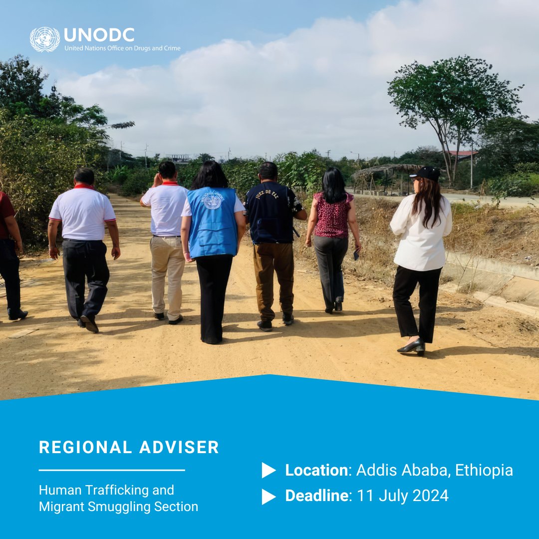 📢 We are hiring!

We are looking for a Regional Adviser to support the implementation of a new global project to tackle human trafficking and migrant smuggling.

Interested? Apply by 11 July 👉 bit.ly/3Vf3O24

#UNJobs