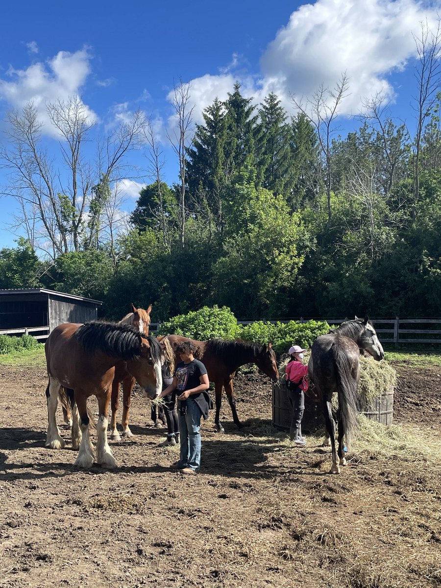 Peel Police ProAction Cops & Kids tweet media