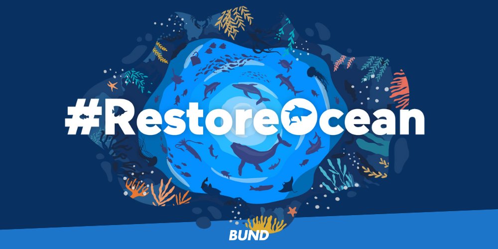 Seal the deal, <a href="/EUCouncil/">EU Council</a>! Die Meere brauchen das #NatureRestorationLaw dringender denn je. Am Montag geht es in den Umweltrat #ENVI. Wir erwarten ein klares Bekenntnis zu Wiederherstellung u. Schutz der Meeresnatur! 🌊 #RestoreOcean #RestoreNature #Meereswende <a href="/SeasAtRisk/">Seas At Risk</a>