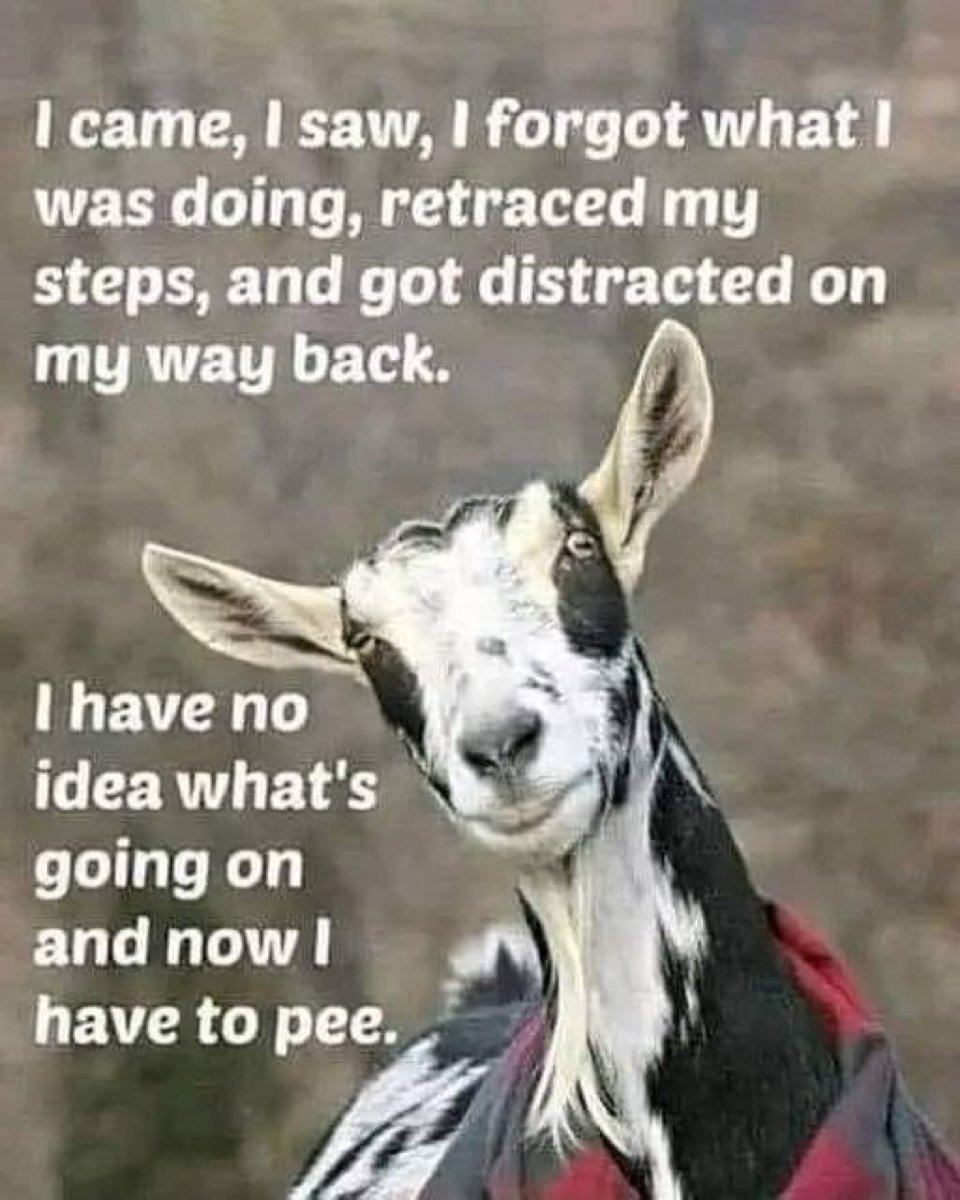 I don't think i like this meme 😒🤭