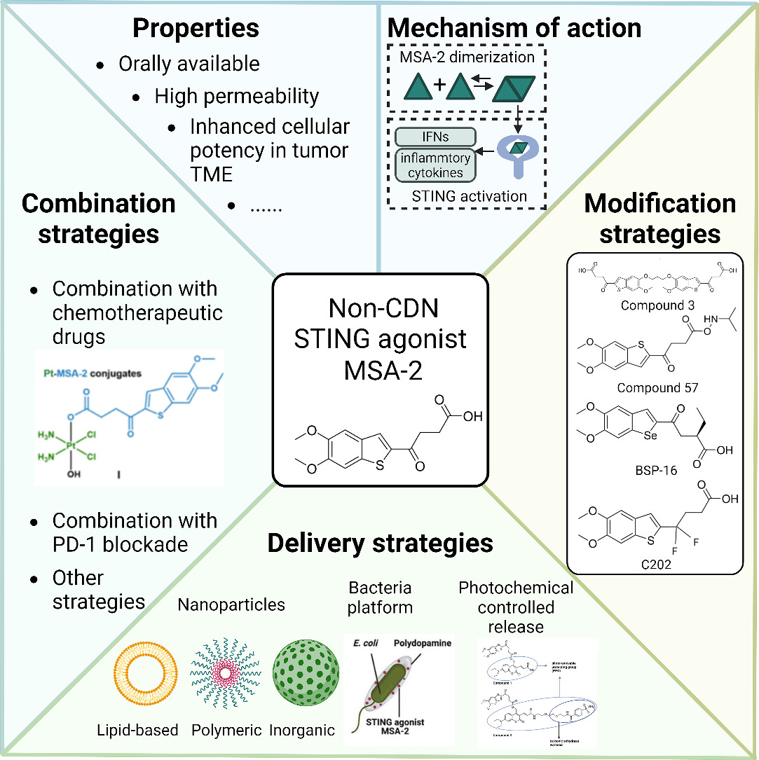 JCRnEDITORS's tweet photo. A next-generation STING agonist MSA-2: From mechanism to application.
| Ningtao Cheng @ZJU_China |
[50 days' free access]
#STINGagonist #delivery #cGAS 
https://t.co/58smkEdsw1 https://t.co/AnM0k4zhOf