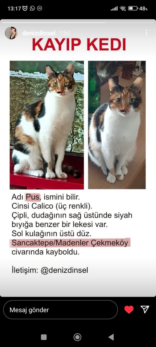haluk (@halukbilginer_) on Twitter photo 