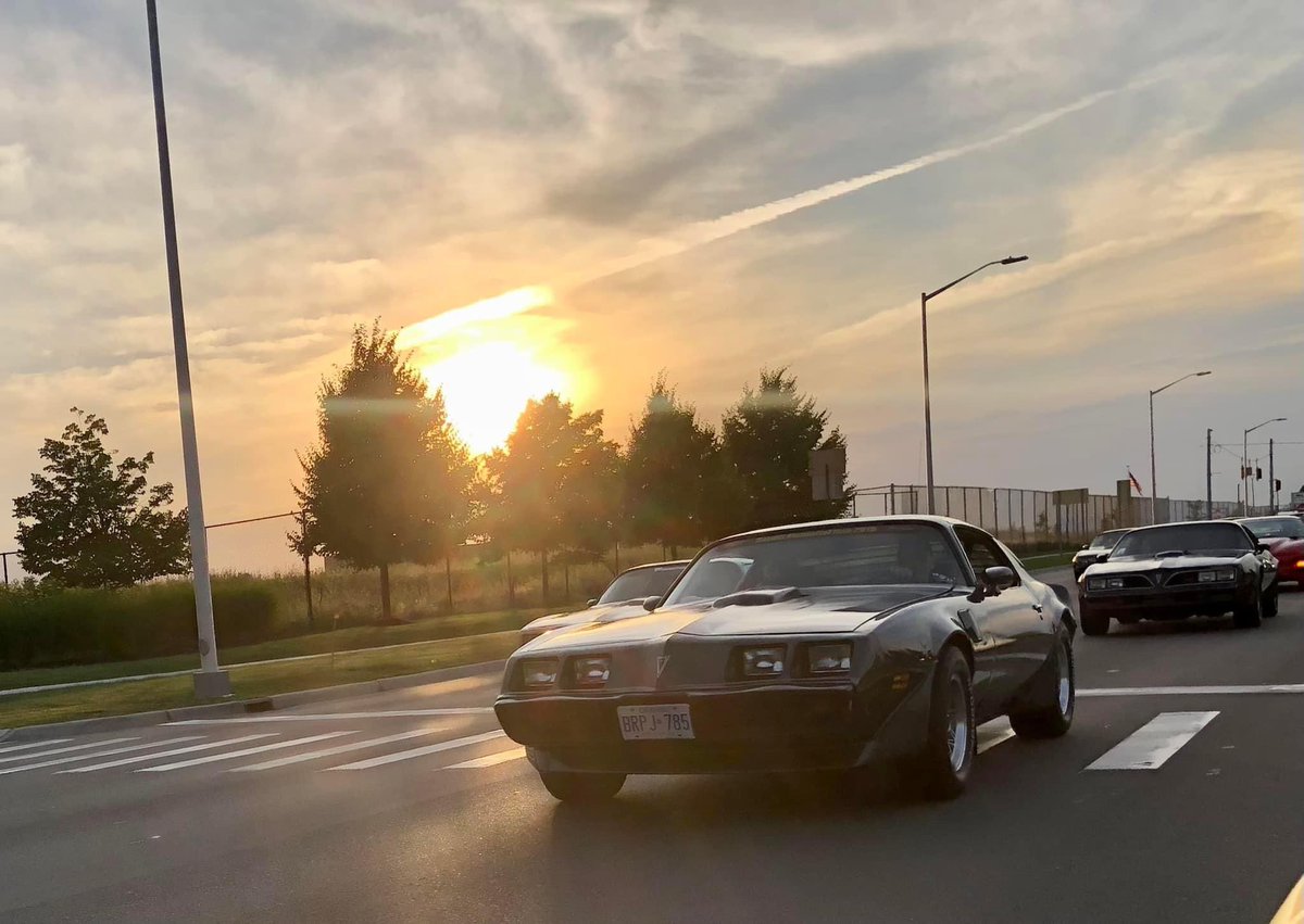 Bandit Run Ric tweet media